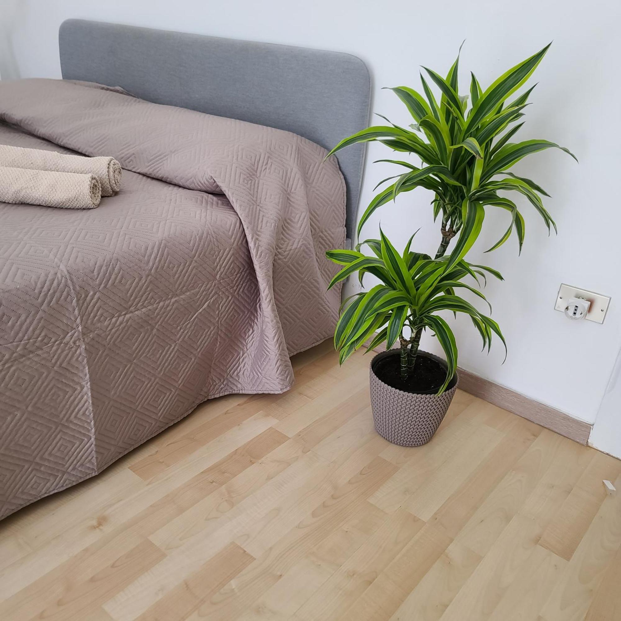 Mariamora Apartment Бари Экстерьер фото